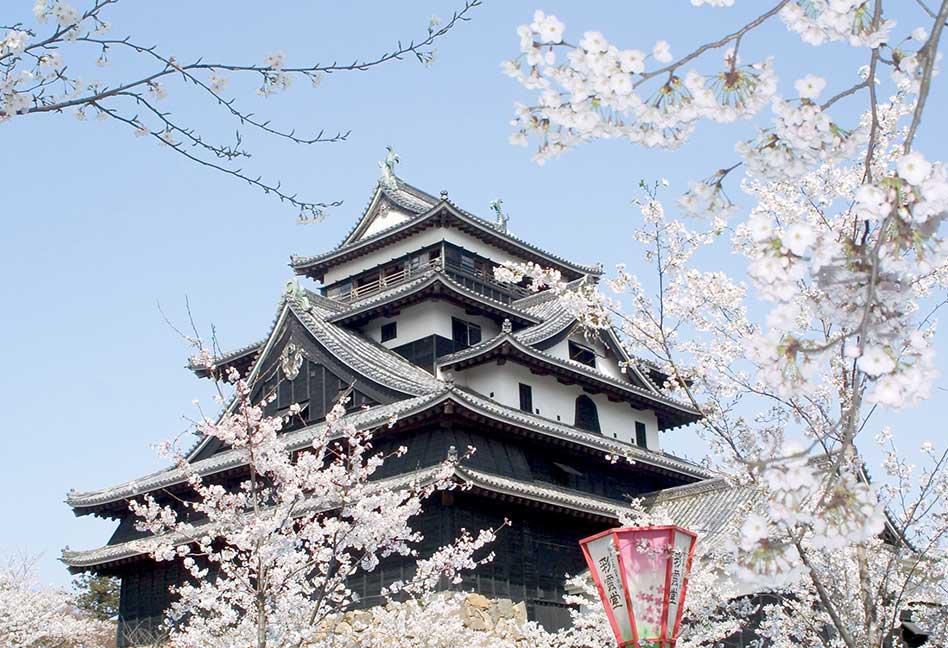 G20 OSAKA SUMMIT SPECIAL